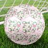 Sarah & Duck Theme Size 5 Soccer Ball, Suitable for Both Indoor and Outdoor Matches, a Gift Suitable for Everyone.