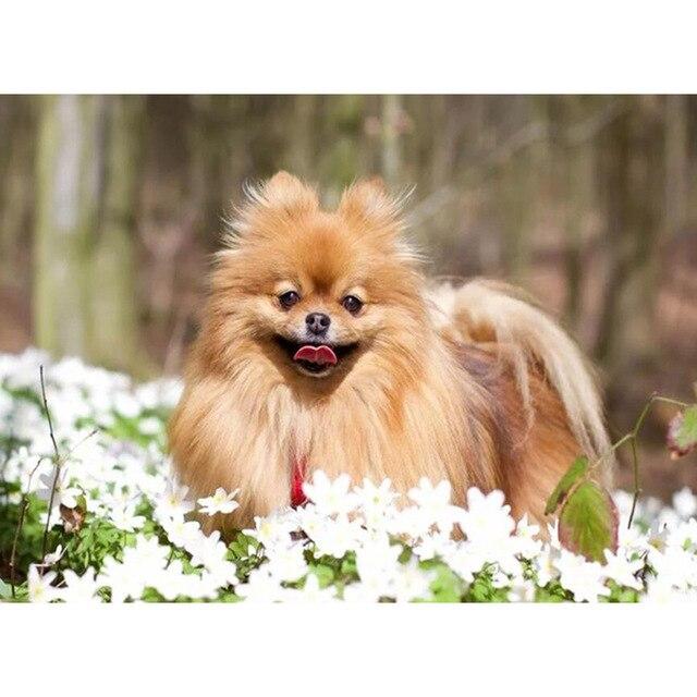 5D DIY Алмазная картина Набор Милый щенок Искусство Алмазная вышивка Стразы Украшения для дома