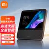Xiaomi Умный домашний экран 10 вилка CN (адаптер в комплекте)