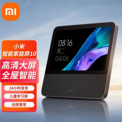 Xiaomi Умный домашний экран 10 вилка CN (адаптер в комплекте)