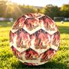 Custom Name Text Size 5 Football,Doors Standard Training Soccer Ball