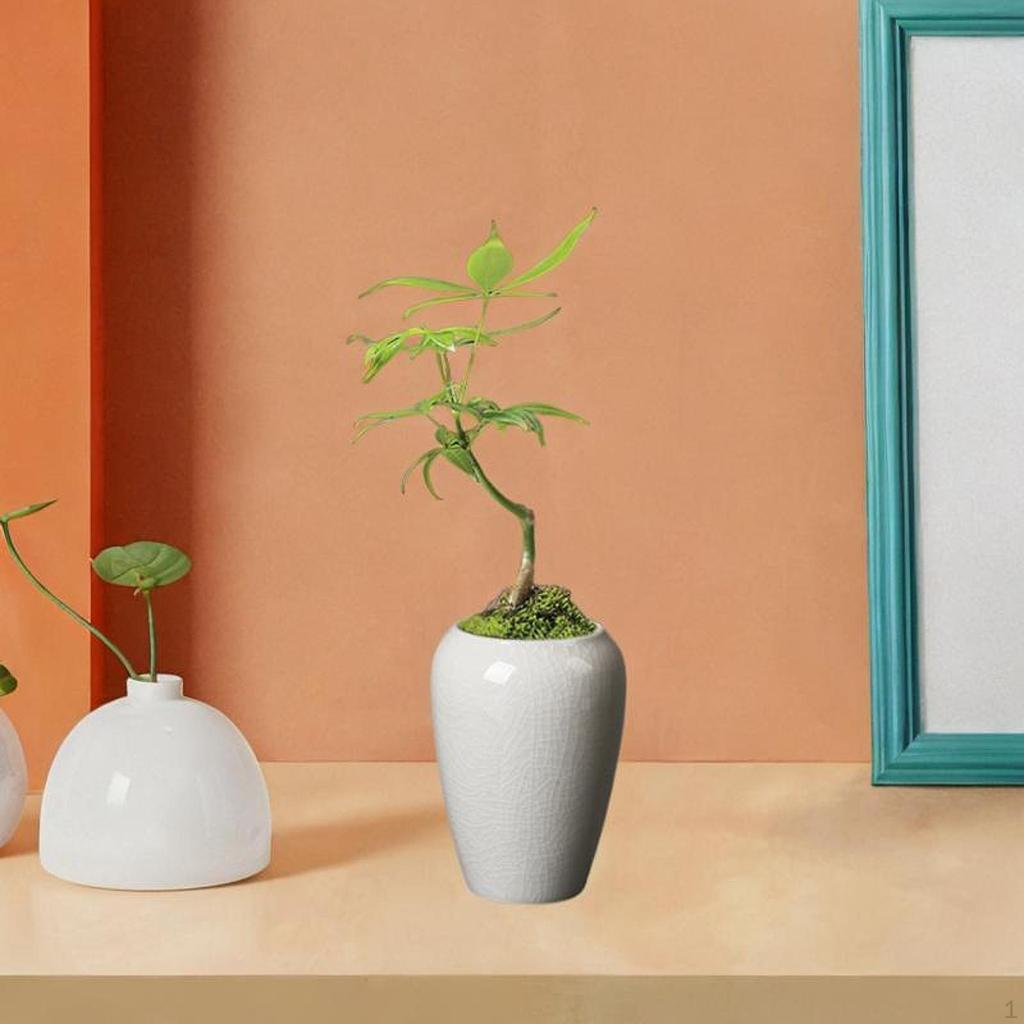 Ceramic Planter Pot 3.94inch Height for Home Display