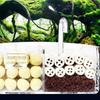 3-in-1 External Filter Box High Transparency Water Circulation Acrylic Fish Tank Top Filter Silent Waterfall Edge Hole