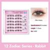 Press On Self Adhesive Cluster Lashes 12 Zodiac Series Individual Eyelash  DIY Eyelash Extension