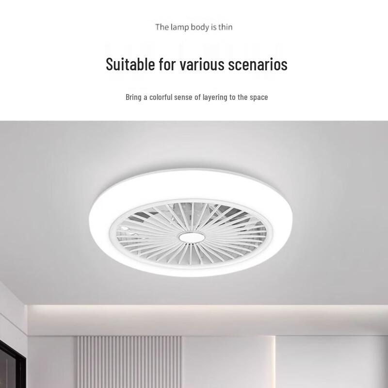 Modern Minimalist Inverter Ceiling Fan with LED Light