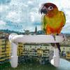Parrot Bird Shower Perch with Portable Suction Cup Bird Cockatoo Bath Perch Toy Standing Platform Bath Stand