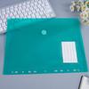 Colorful A4 File Folder Transparent Folder Envelope Bag Durable Document Holder  Ring Binder