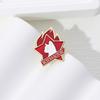 Red Pentagram Flame Cat Brooch Metal Badge Bag Accessories Lapel Pin Waist Closing Corsage Medallion