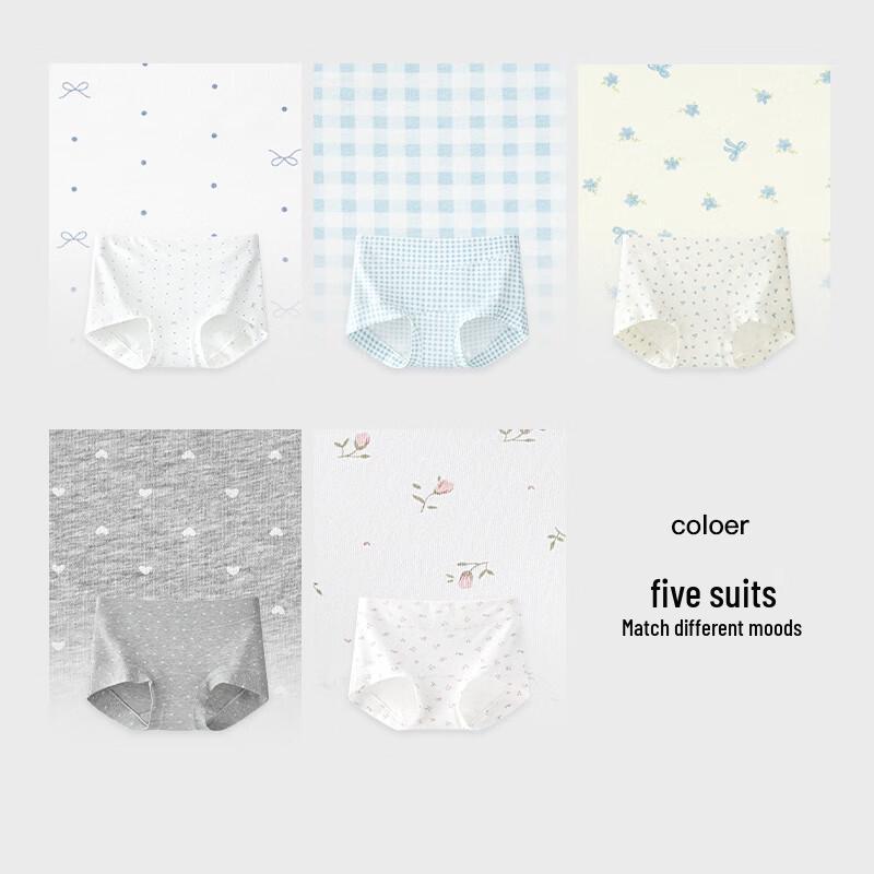 SecretWorld Women's Seamless Antibacterial Cotton Boxer Briefs