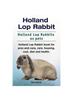 Книга Holland Lop Rabbit. Holland Lop Rabbits As Pets. Holland Lop Rabbit Book for Pros and Cons, Care, Housing, Cost, Diet and Health.