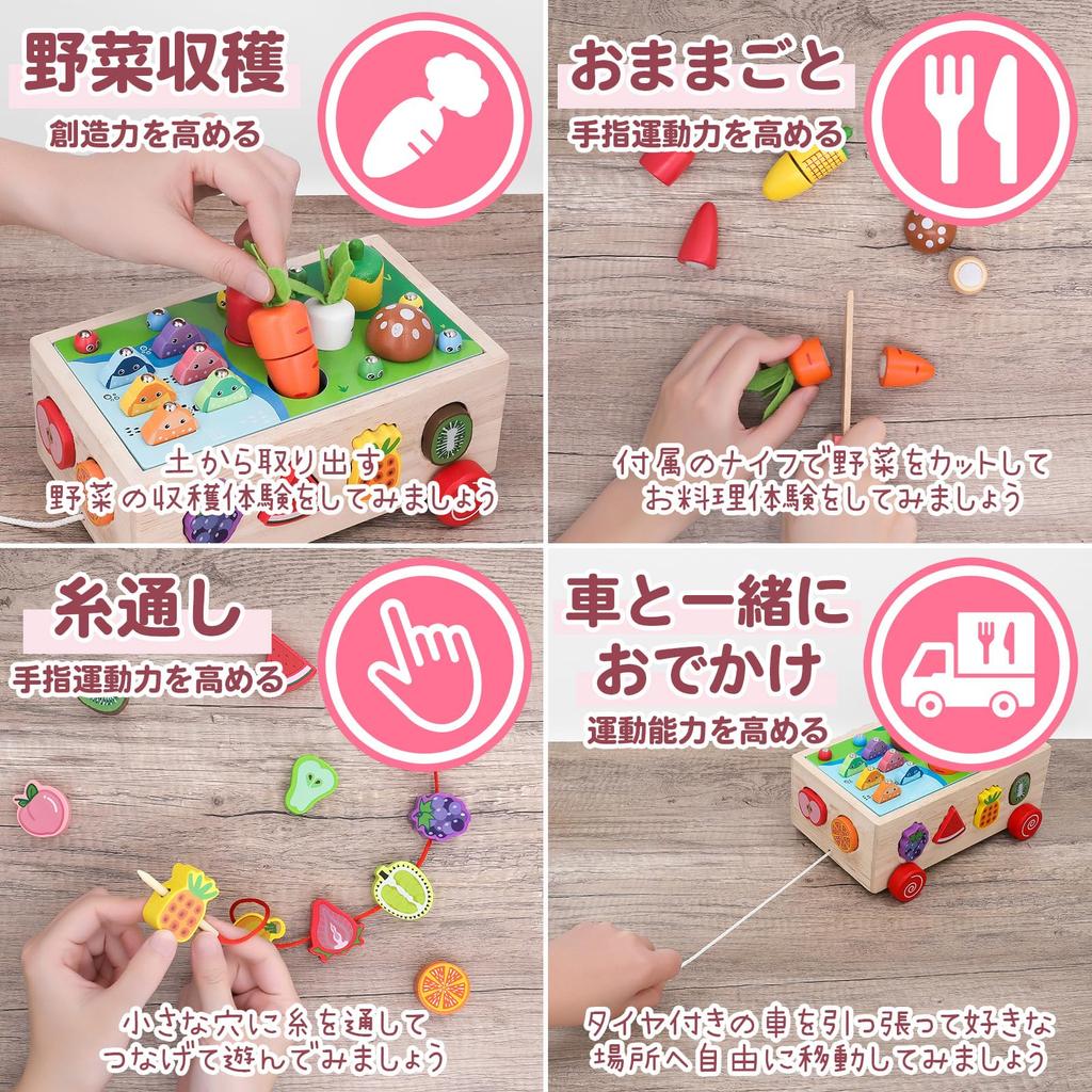 Montessori Educational Toy Wooden Mold Play Set Supervised by Wrapping Coordinator Colorful and Easy To Clean Up Uses Safe Materials Popoma [Boy