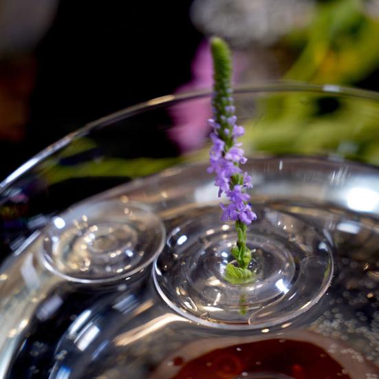 Прозрачный держатель для стеблей плавающих цветов, держатель для цветочной композиции, плавающая ваза для цветов, подставка-пьедестал для декора обеденного стола, кухонного острова