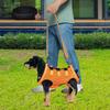 Adjustable Dog Support Harness for Senior Pets with Joint Issues