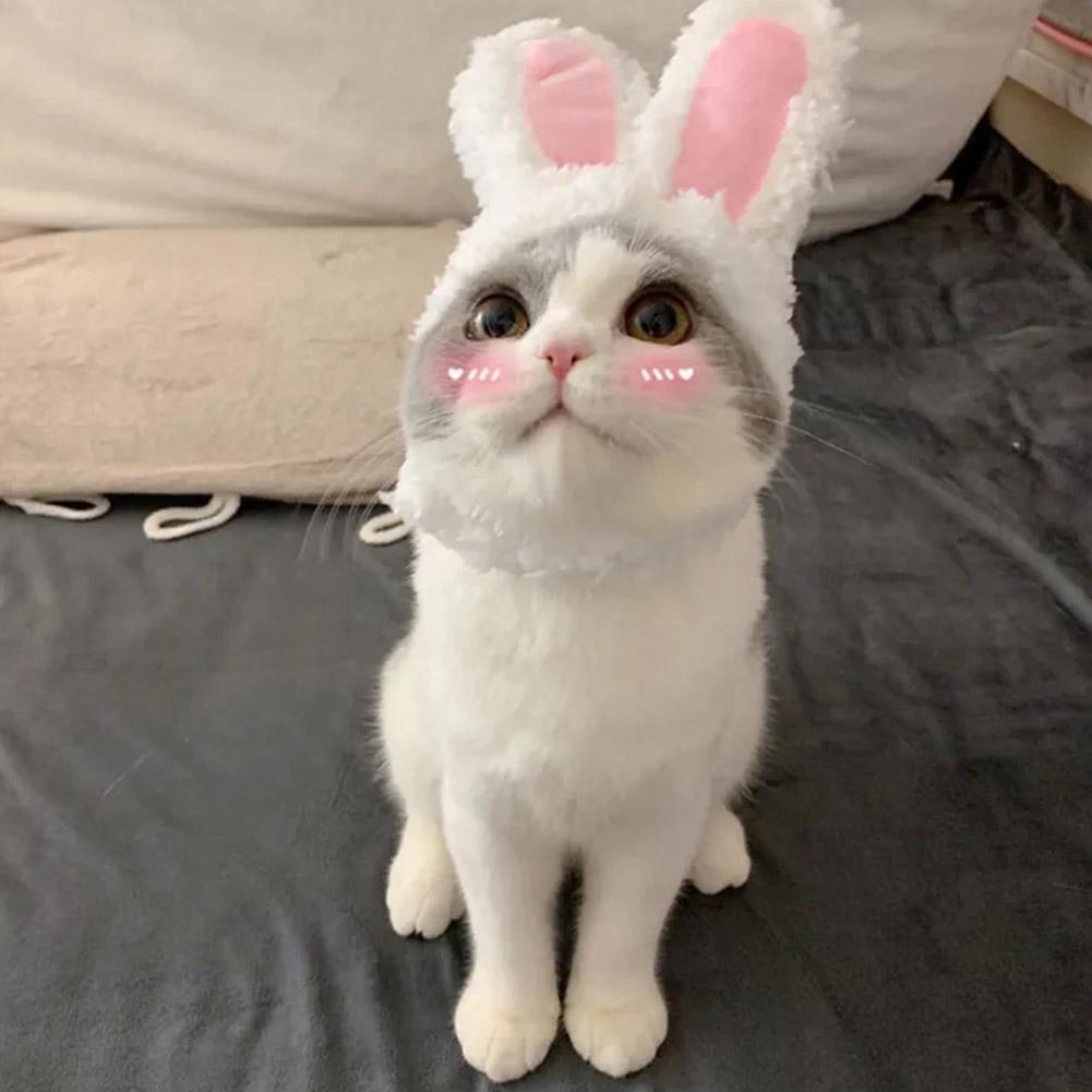 Забавный головной убор для кошки, милая шапка с ушками кролика, плюшевые ушки кролика для питомца, кошки, собаки, реквизит для выступлений, костюмы для косплея, принадлежности для кошек