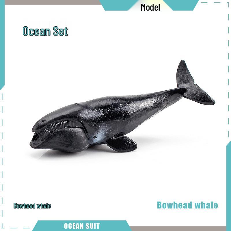 Children's Marine Animal Model Set: Mini Whale, Shark, Dolphin, Turtle, Sea Lion