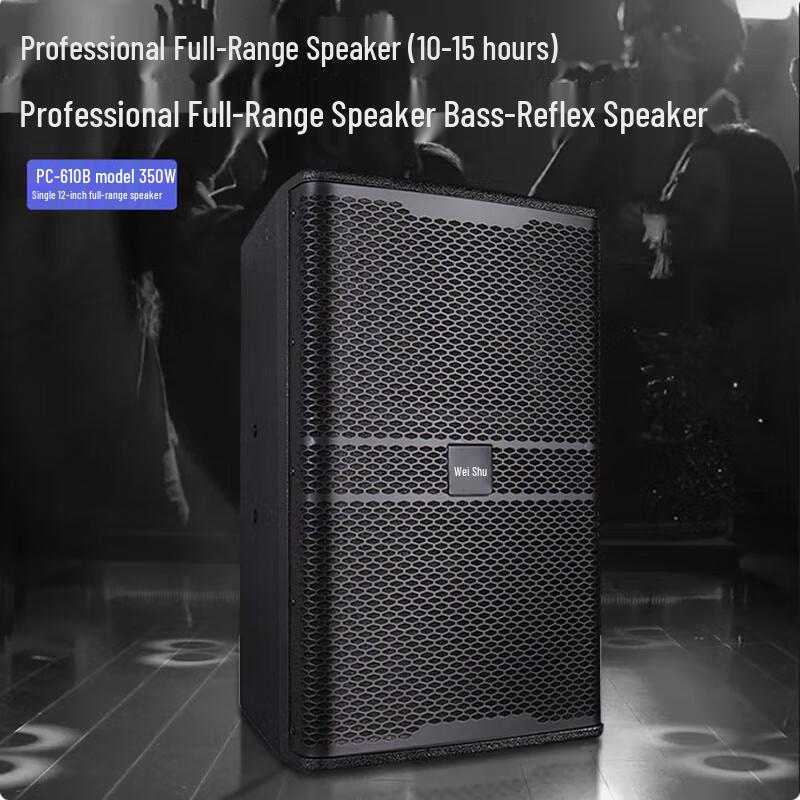Weishu 12-дюймовый профессиональный пассивный динамик