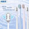 Lengsuanling Polar White Pump Toothpaste and Toothbrush Set