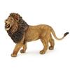 Papo Roaring Lion Figure 50157, 1 Piece, Popular Toys In Korea