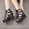 High-Heeled Sandals Women'S Summer New Style Platform Hollowed Out Fish Mouth Sandals