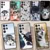 Alaskan Husky Dog Cute Puppy Case For Samsung Galaxy S23 S22 S21 Ultra S20 FE Note 20 Ultra S8 S9 S10 Note 10 Plus Cover
