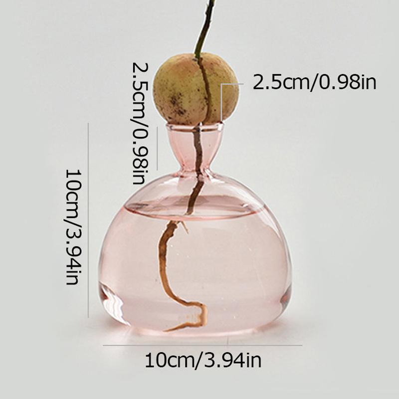 1шт набор для выращивания семян подарок для любителей садоводства домашний декор прозрачная стеклянная ваза