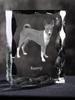 Basenji, African bush dog, Congo dog - crystal with a picture of a dog, glass statuette with a picture, unique frame with a picture from Art-Dog brand