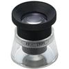 Ikeda Lens Scale Loupe 22x SL22