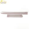 Binrui COOL 22 Sport Edition Side Skirt Trim & Door Panel Strip Accessories