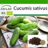Organic - Cucumber - Vorgebirgstraube - 15 Seeds - With Potting Substrate for Better Cultivation - Cucumis Sativus
