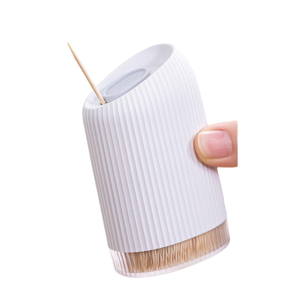 Elegant Toothpick Case Waterproof Toothpick Dispenser Dustproof Toothpick Box Plastic Material Toothpick Container