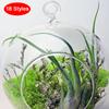 Hanging Transparent Ball Glass Flower Planter Vase Terrarium Landscape Container