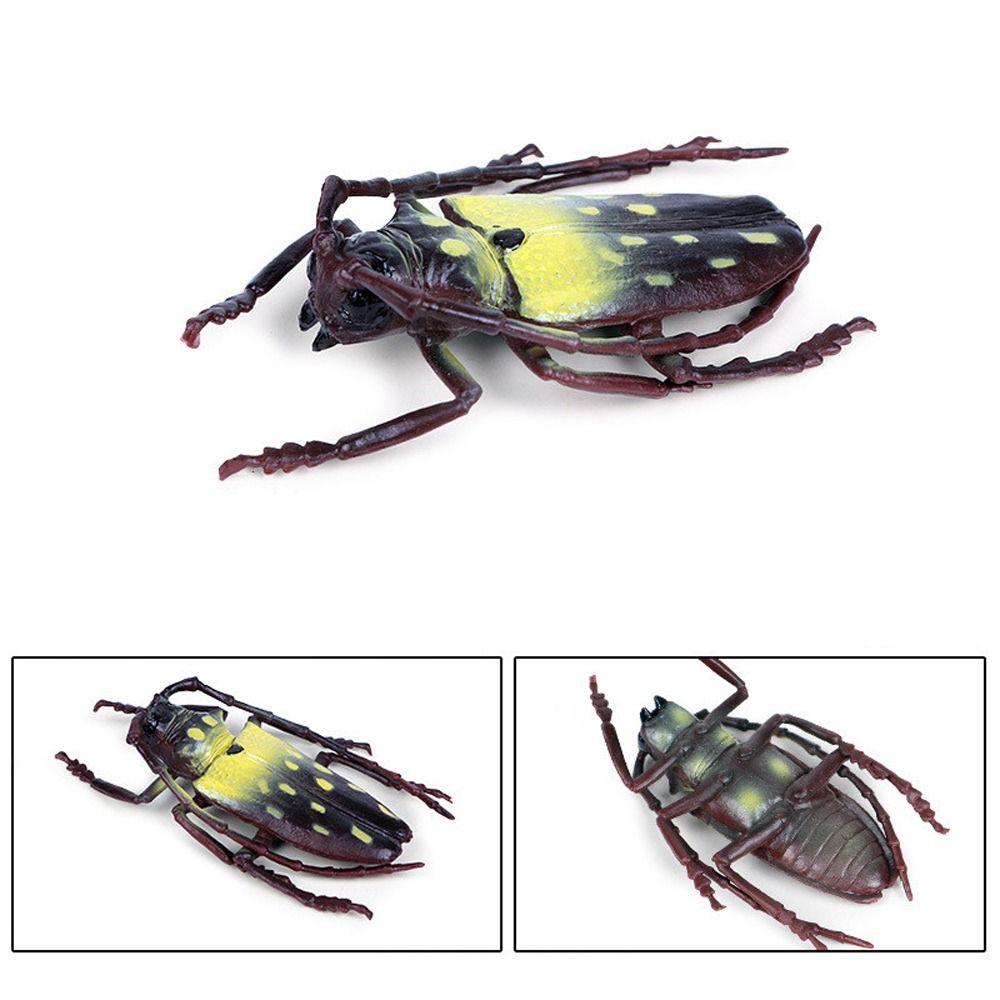 Realistic Beetle Action Figures Wild Insect Lifelike Insect Figurines Desktop Ornament