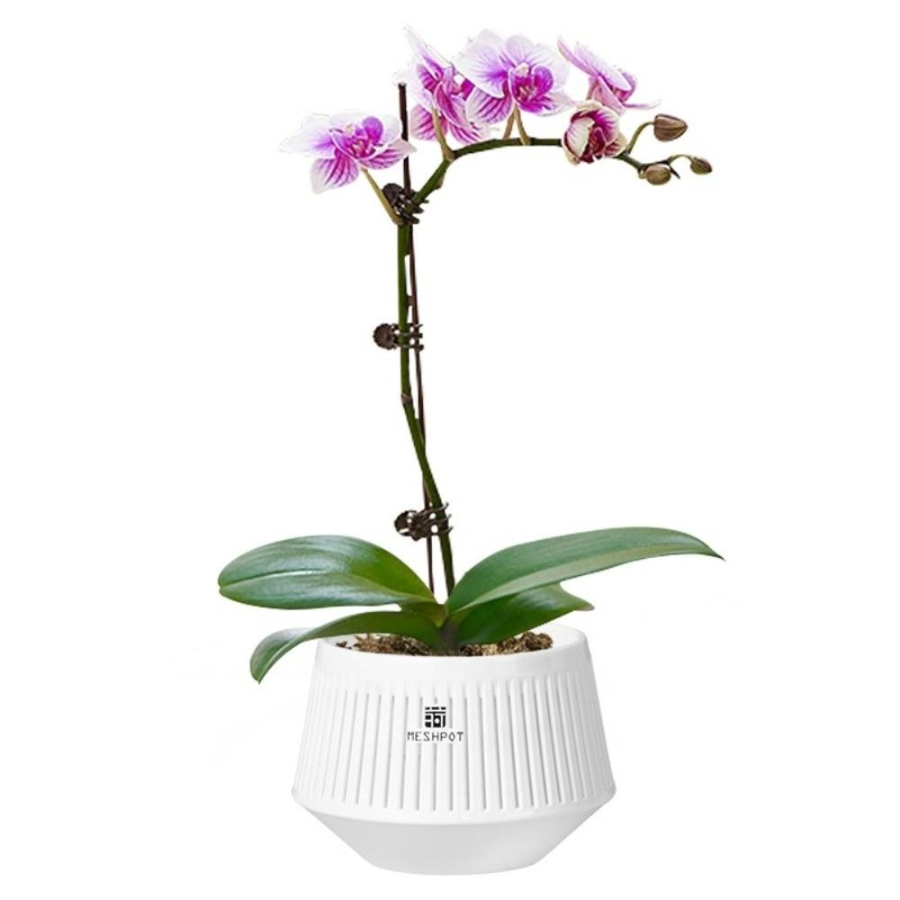 Moisturizing Meshpot Orchid Pot Thickening Root Control Flowerpot Growing Pots Prevent Root Rot