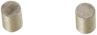 Магнит Niigata Seiki BeHAUS Редкоземельный самарий-кобальт, 2 шт. 3x4 1,8N KS-1