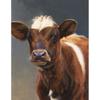 DIY Корова 5D алмазная живопись полная круглая дрель животное Алмазная вышивка крестиком мозаика наборы настенное искусство домашний декор