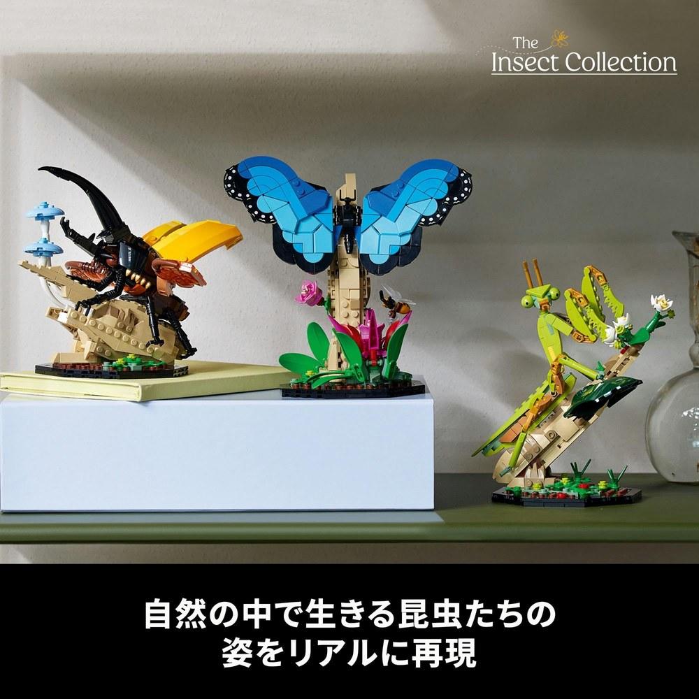 LEGO Ideas Insect Collection Toy Set