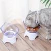 1 Elevated Clear Cat Food Bowl with Tilting Stand Dog Bowl - Promotes Healthy Eating and Digestion for Cats