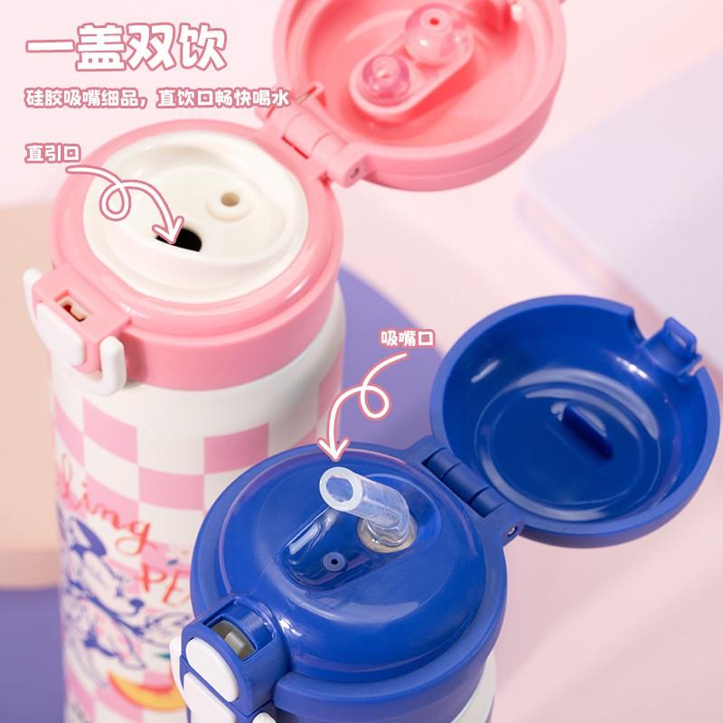 Kids Insulated Stainless Steel Water Bottle With Straw Lid 480ml School Travel Outdoor Use