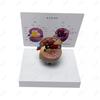 Cat kidney pathological health anatomical model feline pet teaching AIDS Veterinary medical model
