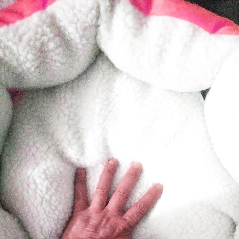 Коврик для собак Домик для домашних животных Осень Зима Теплая Водонепроницаемая кровать для домашних животных Кровать для домашних животных