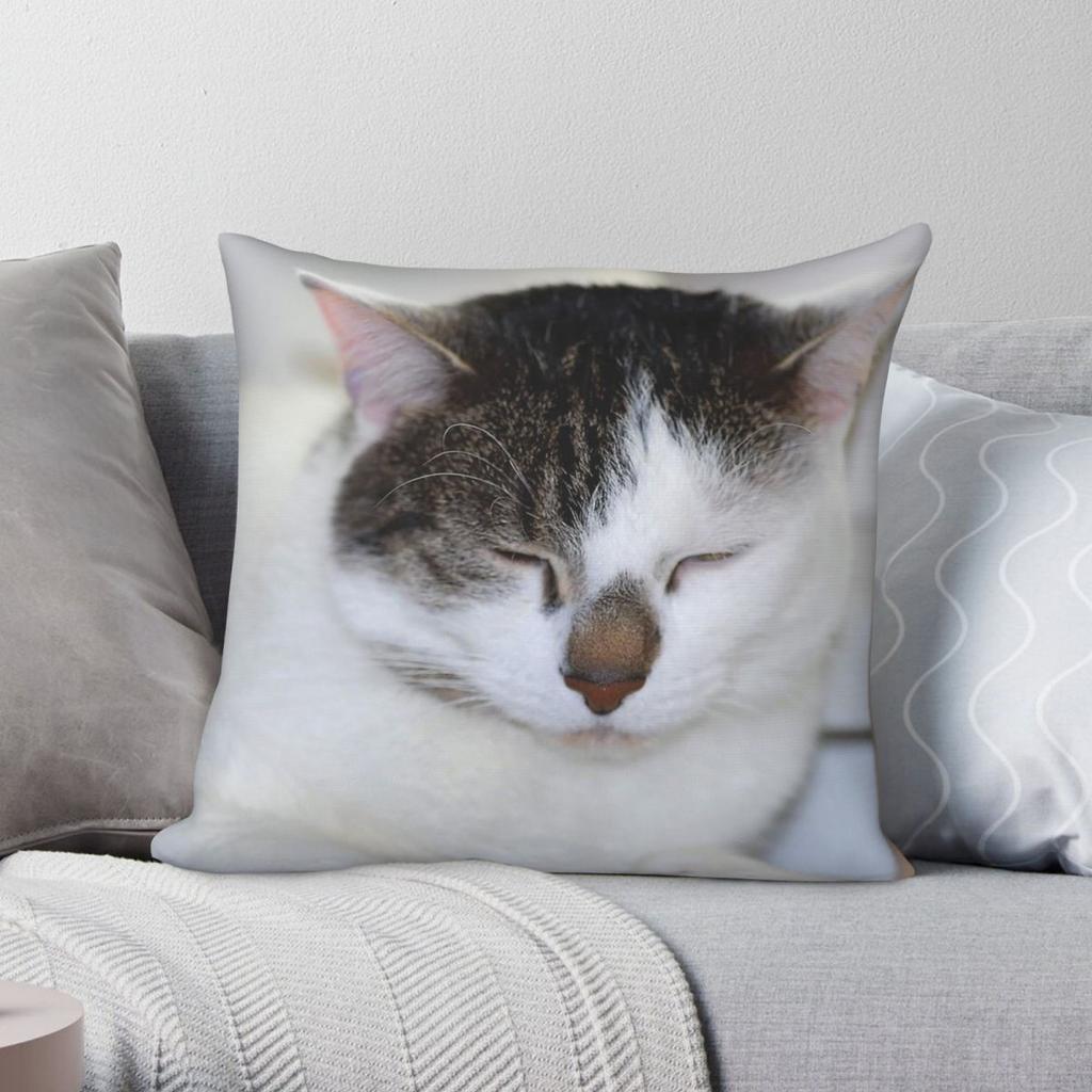 Kitten I Am Not Looking Square Pillowcase Polyester Linen Velvet Printed Zip Decorative Pillow Case Car Cushion Case