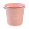 New With Handle Small Metal Buckets Colorful Multipropose Flower Pot Leak Proof Rust-Resistant Flower Pot Storage Holder