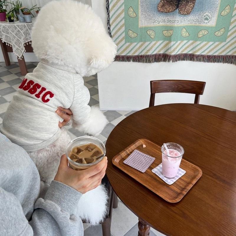 Winter Dog Coat Pet Dog Warm Clothes Puppy Hoodies Chihuahua French Bulldog Bichon Pug Clothing Solid Letter Warm Dog Sweatshirt