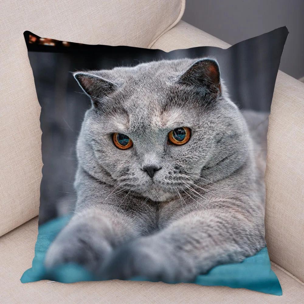 Русская голубая Британская короткошерстная Наволочка Декор Милый кот Домашнее животное Животное Наволочка Мягкий плюшевый Чехол для подушки для машины Дивана Дома