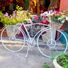 Elegant European Wrought Iron Multi-Layer Balcony & Garden Bicycle Plant Stand