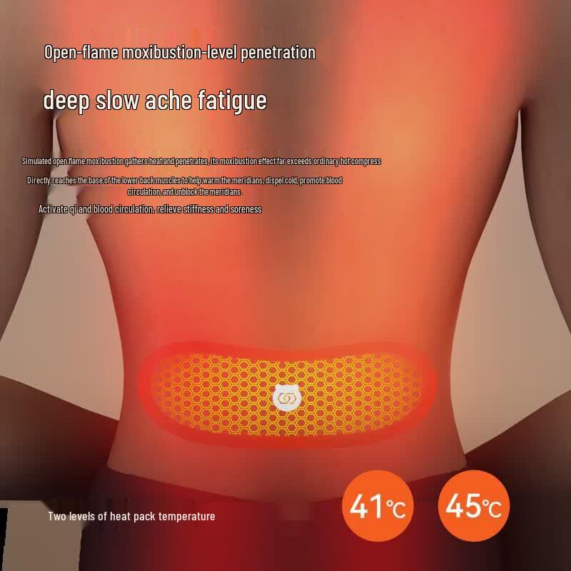 Bear Low-Frequency Pulse Waist and Back Massager CN plug (adapter included)