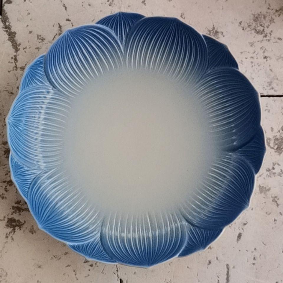 Керамическая мелкая тарелка в виде животного, столовая посуда, бытовая микроволновая печь, золотая рыбка, ресторан, димсам, фруктовый торт, стейк, еда, тарелка