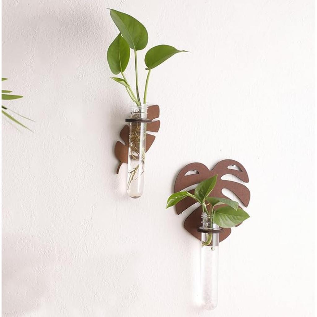 2pcs Plant Propagation Station Wall Hanging Wooden Leaf Plant Terrarium for Hydroponics Home Office Decor Test Tube Propagate Air Plant Cutting Holder