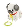 Fisher-Price My Pug Walk-Along Baby Pull-Along Toy HTW94