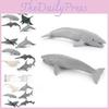 Реалистичная Миниатюрная Модель Дельфина, Морского Дьявола, Белухи, Китовой Акулы, Коллекция Игрушек Океанических Животных